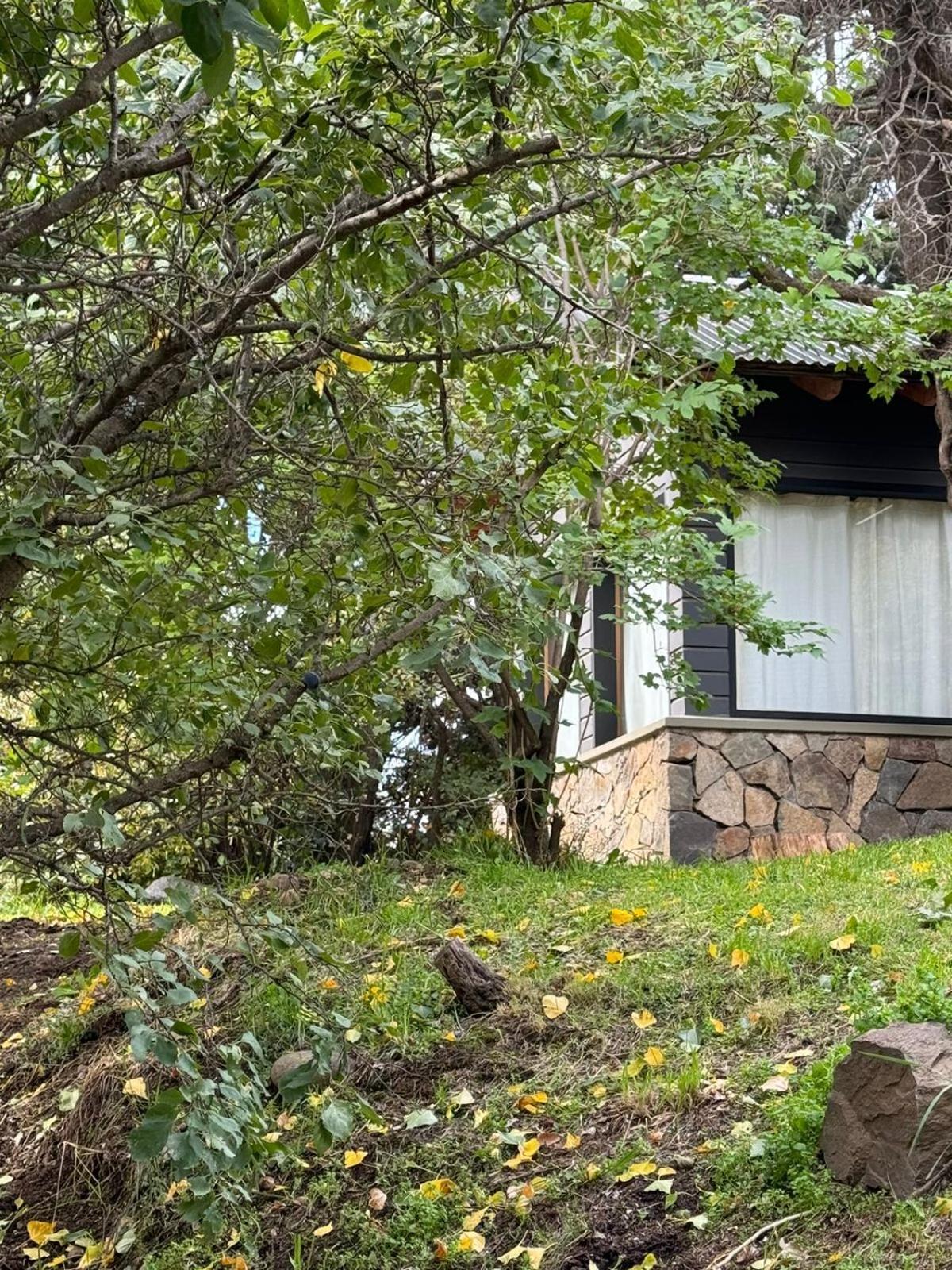 Вилла Huilen De Bandurrias Сан-Мартин-де-лос-Андес Экстерьер фото